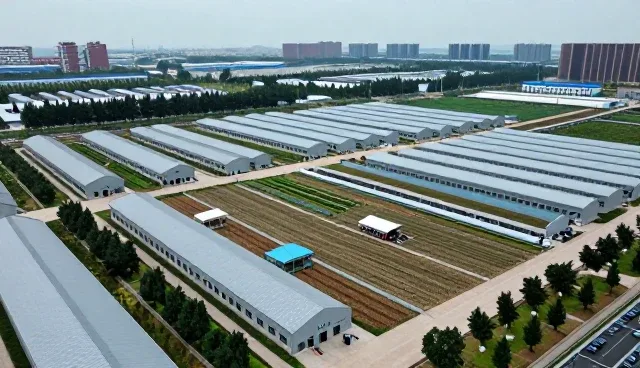 就业指导行业如何实现因材施教的精准化转型